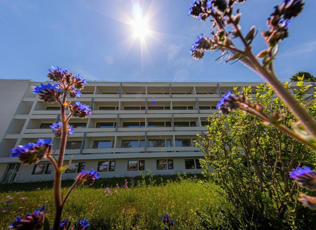 Hotel Gloria Eforie Sud Exterior foto
